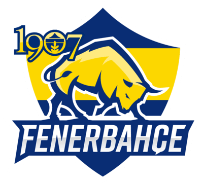 Fenerbahçe Academy