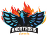 Anorthosis Esports