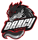 Barcy Esports