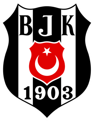 Beşiktaş Academy