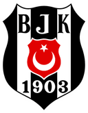 Beşiktaş Academy