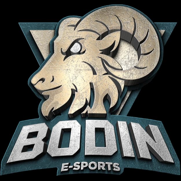 Bodin E-Sports