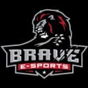Brave e-Sports