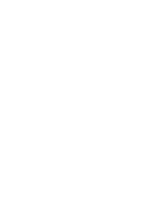 BT Excel