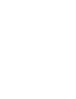 BT Excel