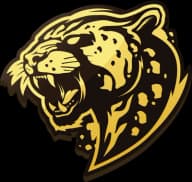 Bushido Wildcats