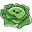 Cabbage Family