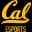UC Berkeley