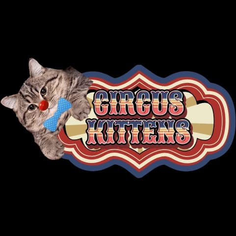 Circus Kittens