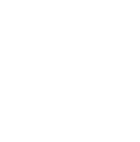 Cyber Wolves