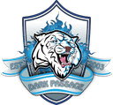 Dark Passage Academy