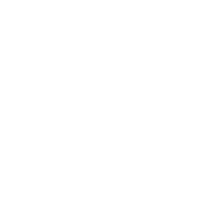 Dewish Tnu Team