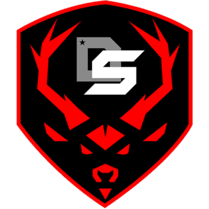 DS Gaming