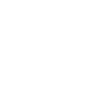 DSYRE