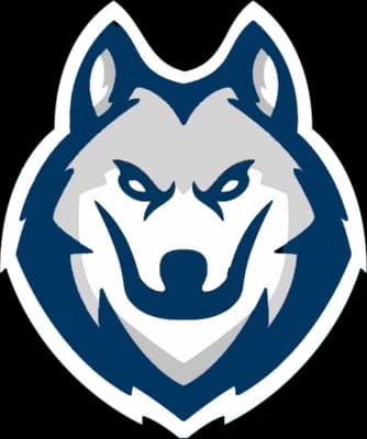 E-Wolves