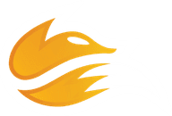 Echo Fox