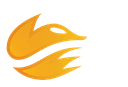 Echo Fox Academy