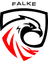 Falke Esports