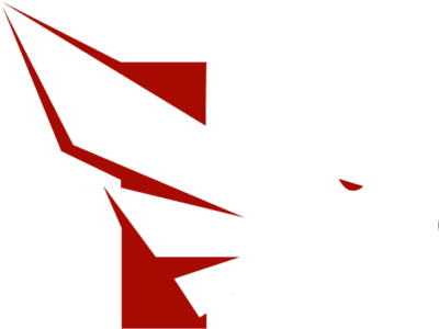 FALKE ESPORTS