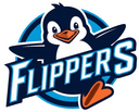 Flippers