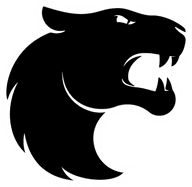 FURIA Academy
