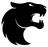 FURIA Academy