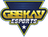 Geekay Esports