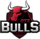 GTZ Bulls