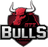 GTZ Bulls