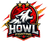 Howl Fighting