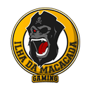 IDM Pirata
