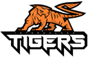 Intergalaxy Tigers Gaming