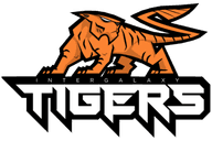 Intergalaxy Tigers Gaming