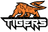 Intergalaxy Tigers Gaming