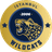 İstanbul Wildcats