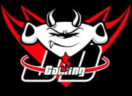 JD Gaming