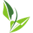 Kanaya Gaming