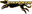Lemondogs