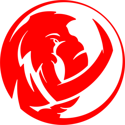 Sin Gaming