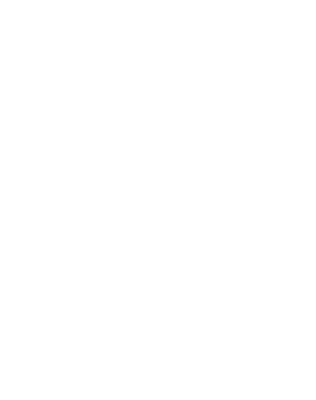 Maze GG