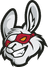 Misfits Academy