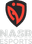 NASR eSports