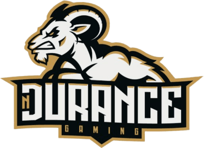 nDurance Gaming