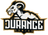 nDurance Gaming