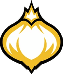 Onion Team