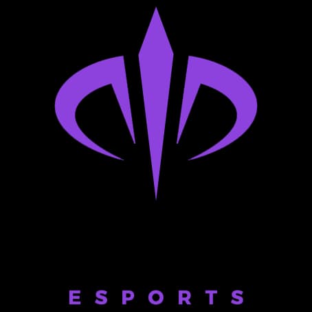 Orion Esport