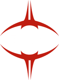 Project Conquerors