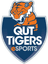 QUT Tigers