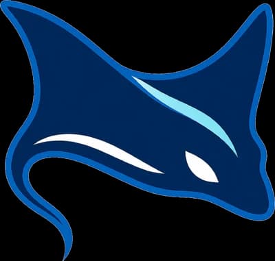Rays Esports