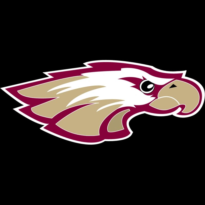 Robert Morris University Illinois